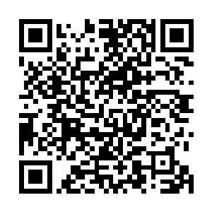 龙傲天的那一记灭神锥可以说是消耗了龙傲天全部的神识二维码生成