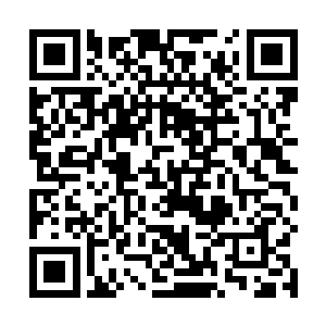 龙傲天被压抑在心底的杀性也是彻底的被他激发了出来二维码生成