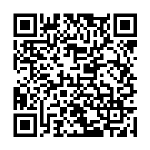 龙傲天觉得那种气息一定是残杀过无数人才形成的二维码生成