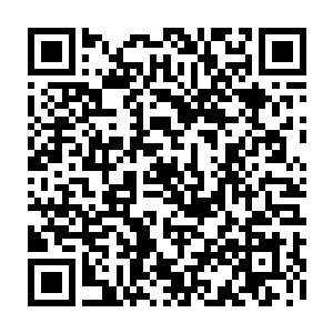龙傲天设置的这个阵法是单向的所以他们没有丝毫的阻拦就从里面走了出来二维码生成