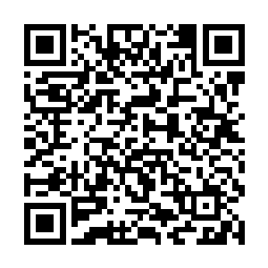 龙傲天逛完龙岛之后就将目光放到了周围的那些小岛二维码生成