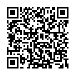 龙傲天采集的这些果子大部分都是用来酿酒用的二维码生成