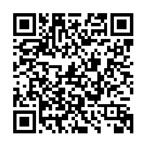 龙娃先带着贺兰明若和贺兰锦来到萧韵儿和凌风住的小院里二维码生成