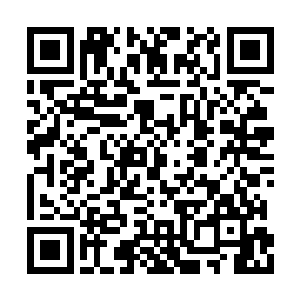 龙族果然不愧是整个神之大陆底蕴最深厚的势力二维码生成