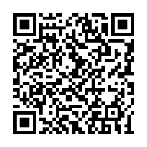 龙皇一见原来是刚才自己来这里看见的那只神龙二维码生成