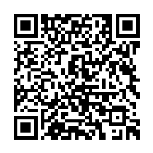 龙纹金书……这龙纹金书乃是我们商域第一重宝二维码生成