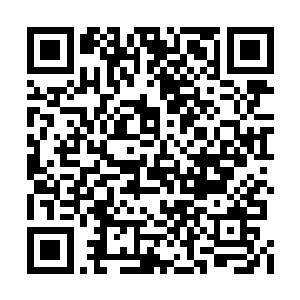 龙耀车队是代表斯密斯家族和索罗斯家族出战的二维码生成