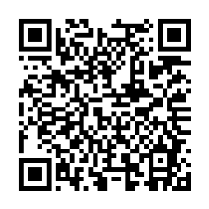 龙谷内江逸留下的两个伪帝级还有那些族长都活着二维码生成