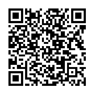 龙阵和龙天等人建立的巡逻小队因为雪天而暂停了二维码生成