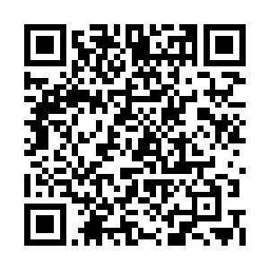 龙鳞在没有阳光的情况下竟还能泛出幽幽的冷光二维码生成