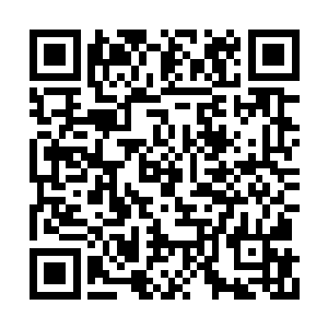 龟甲的反噬绝对不是一个化神中期修士能承受的二维码生成