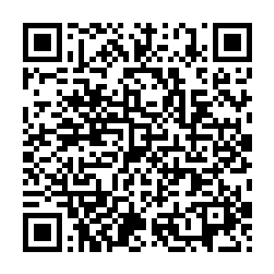 100个……200个……500个……1000个……1500个……2000个……2417个……二维码生成