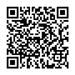 11月18日的林肯公园中国沪市虹口体育场演唱会上二维码生成