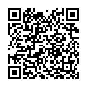 25号晚上11点乘飞机离开内罗毕直飞前去中国广州二维码生成