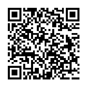 k议长刚刚把发生在黑暗议会的巨变全盘告诉了众人二维码生成