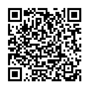 lcd俱乐部所谓的发言人其实也就是他们的副经理二维码生成