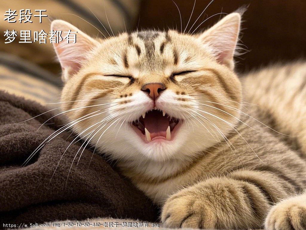 老段干梦里啥都有搞笑图片