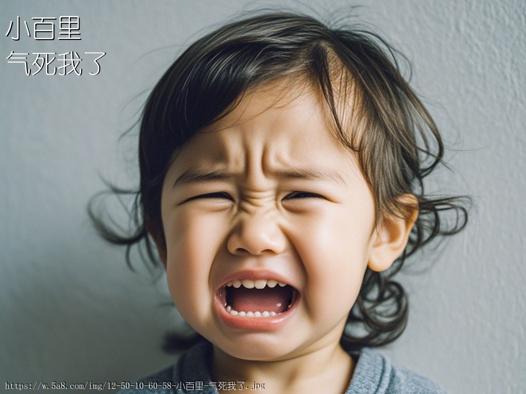 小百里气死我了搞笑图片