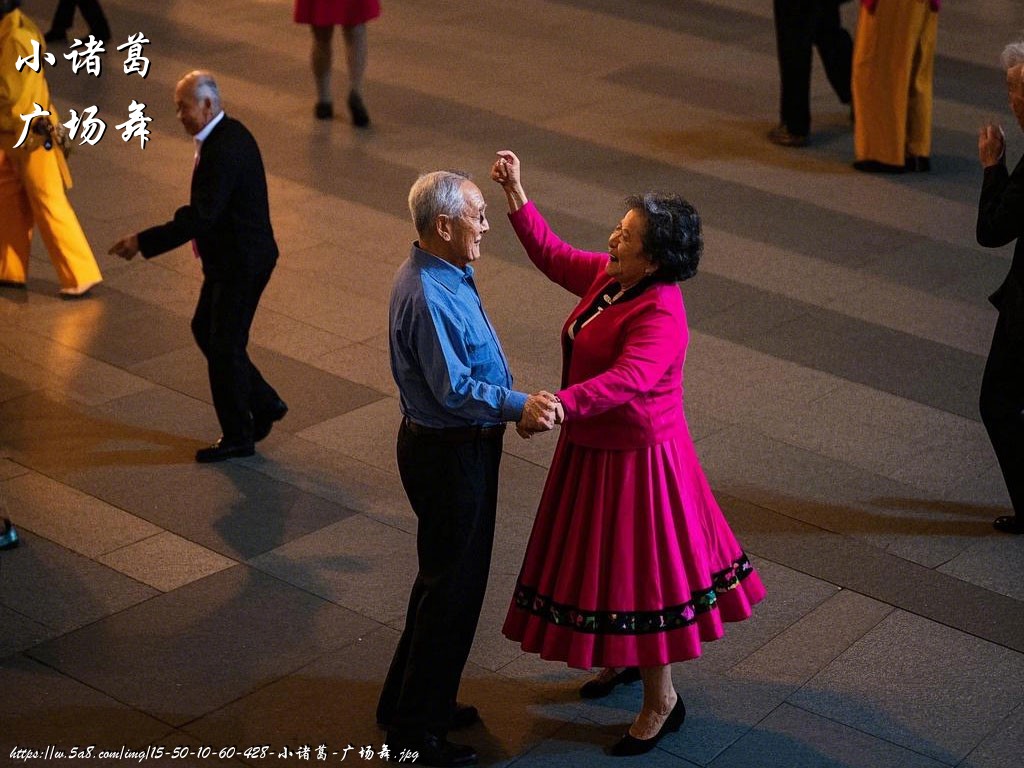 小诸葛广场舞搞笑图片