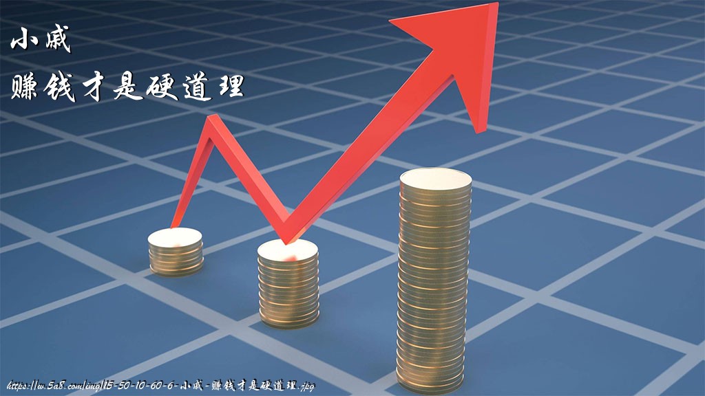 小戚赚钱才是硬道理搞笑图片