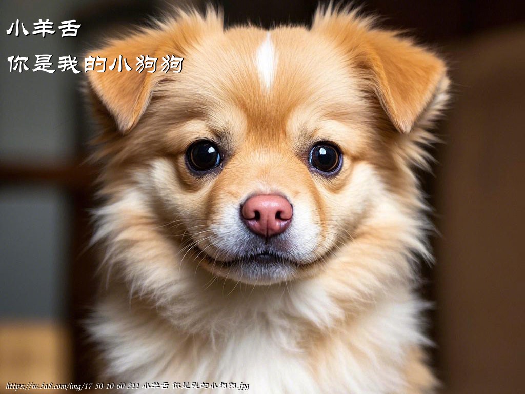小羊舌你是我的小狗狗搞笑图片