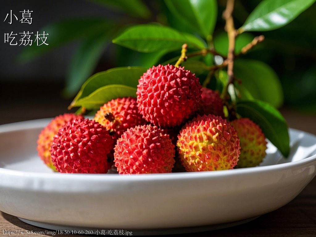 小葛吃荔枝搞笑图片