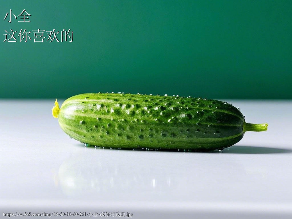 小全这你喜欢的搞笑图片