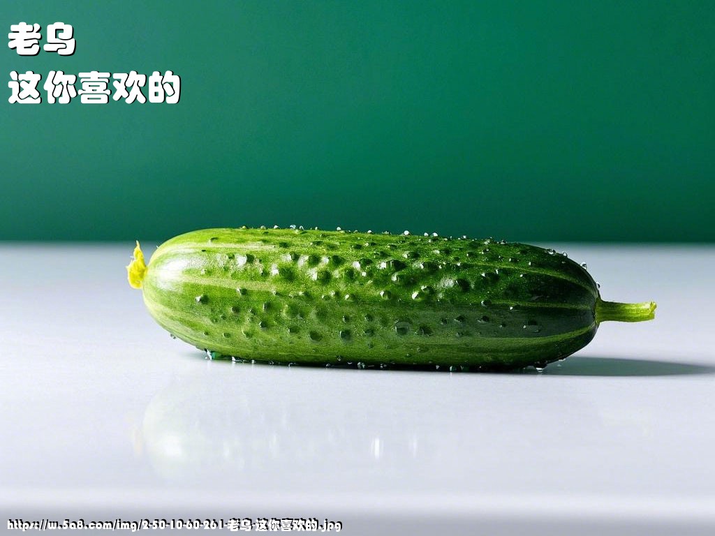 老乌这你喜欢的搞笑图片