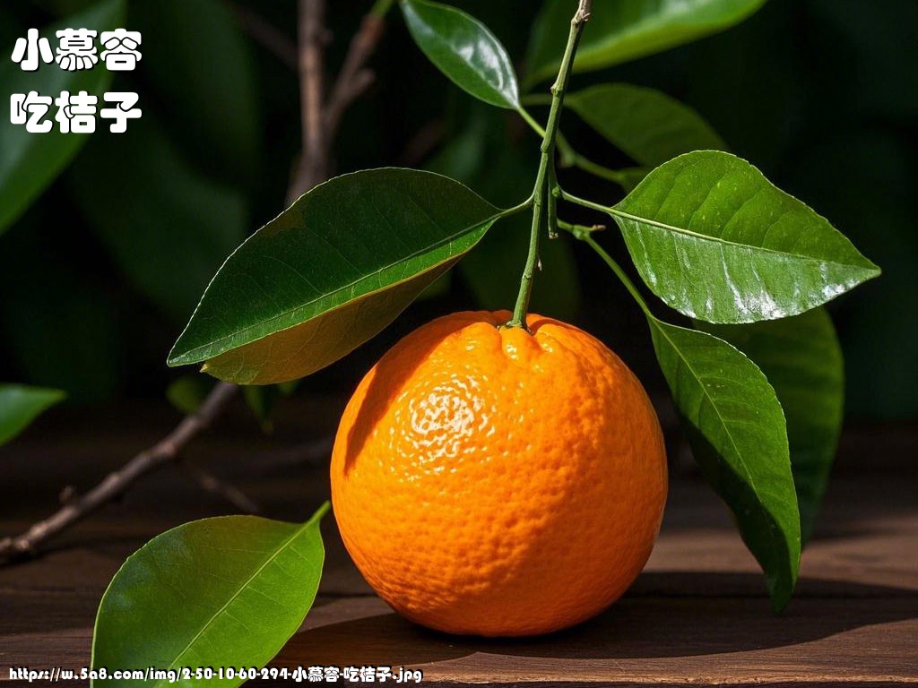 小慕容吃桔子搞笑图片