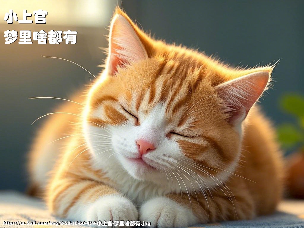 小上官梦里啥都有搞笑图片