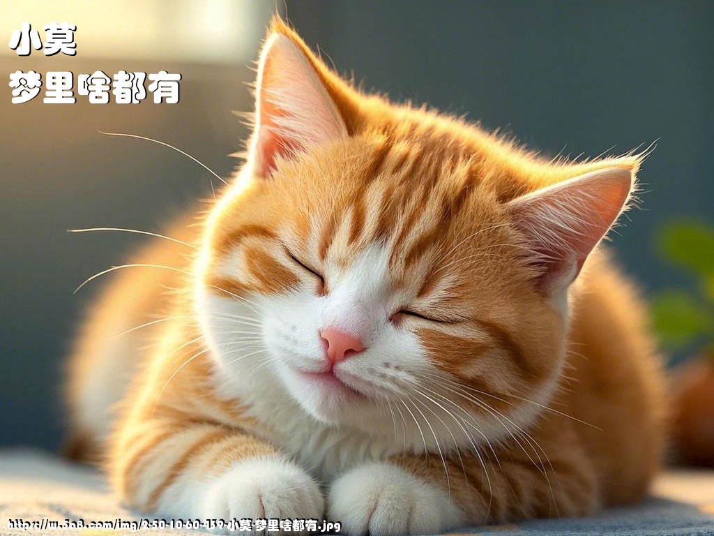 小莫梦里啥都有搞笑图片