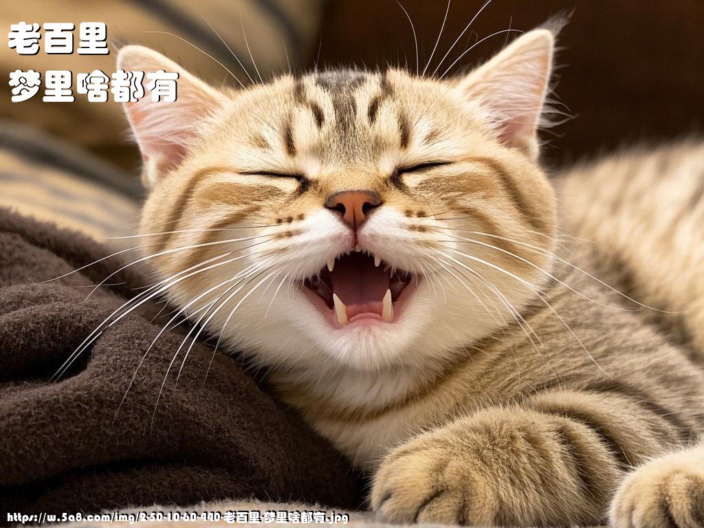 老百里梦里啥都有搞笑图片