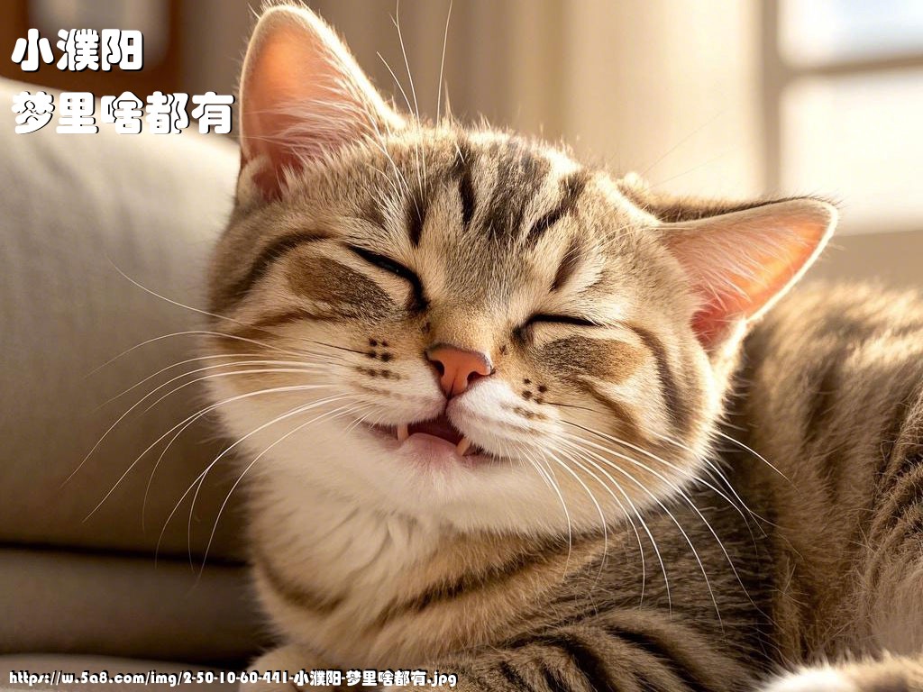 小濮阳梦里啥都有搞笑图片