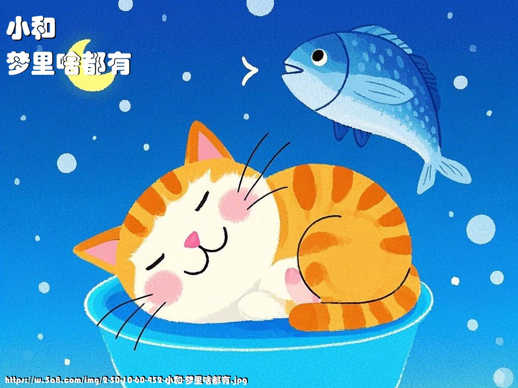 小和梦里啥都有搞笑图片