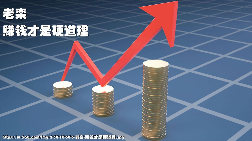 老栾赚钱才是硬道理搞笑图片
