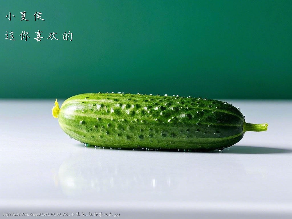 小夏侯这你喜欢的搞笑图片