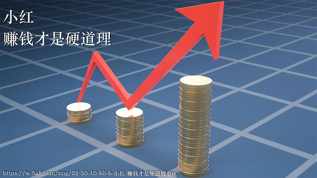 小红赚钱才是硬道理搞笑图片