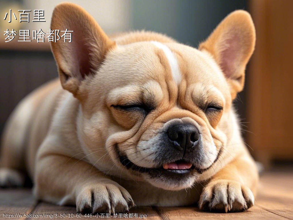 小百里梦里啥都有搞笑图片