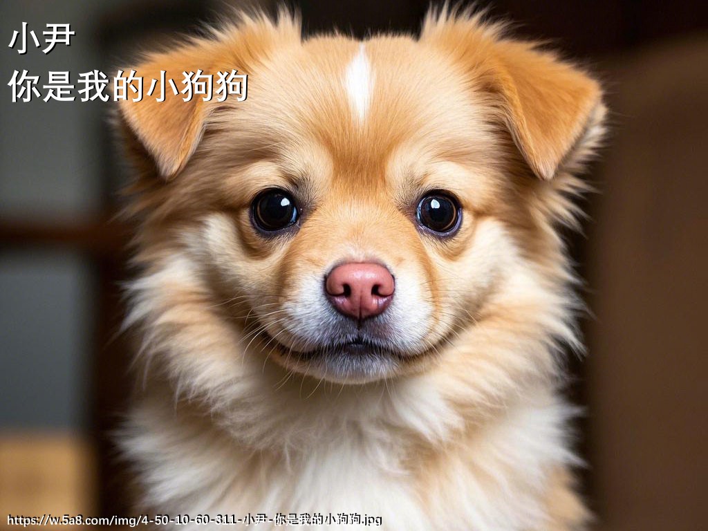 小尹你是我的小狗狗搞笑图片