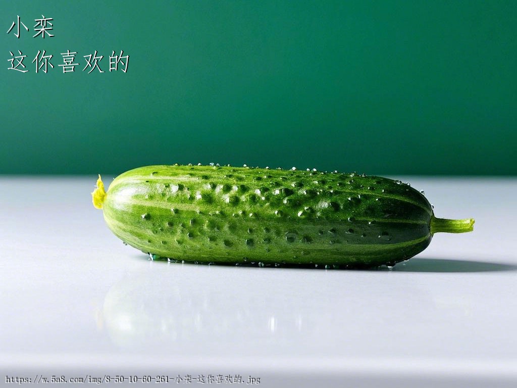 小栾这你喜欢的搞笑图片