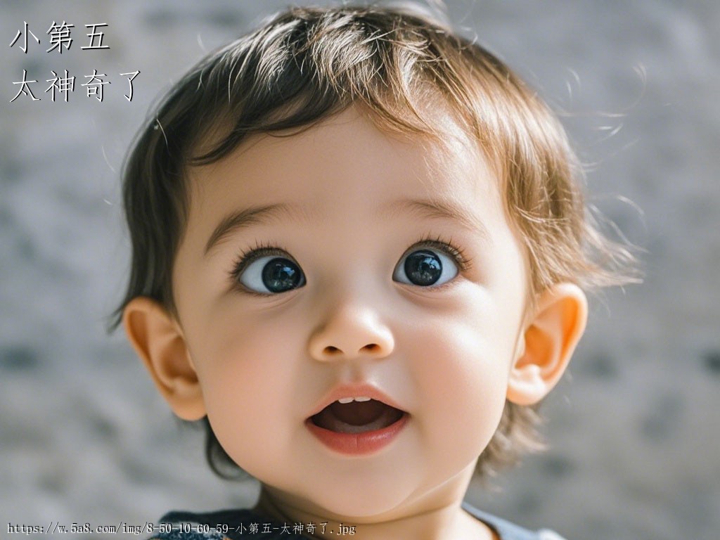 小第五太神奇了搞笑图片