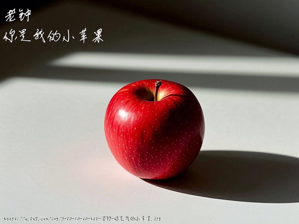 老钟你是我的小苹果搞笑图片