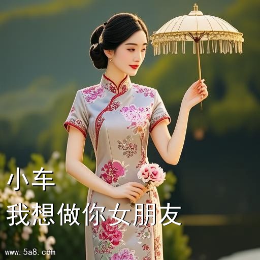 我想做你女朋友小车搞笑图片