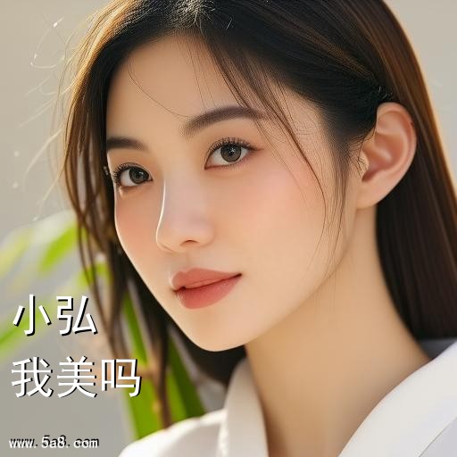 我美吗小弘搞笑图片