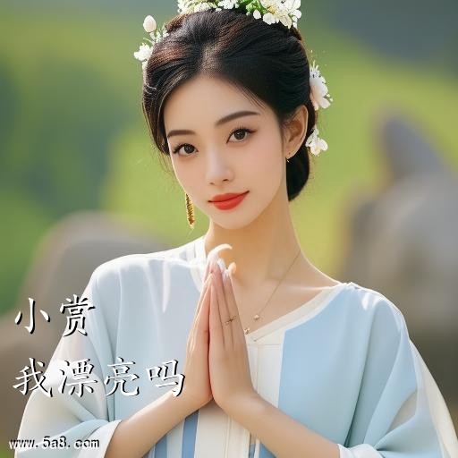 我漂亮吗小赏搞笑图片