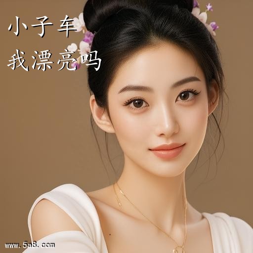 我漂亮吗小子车搞笑图片