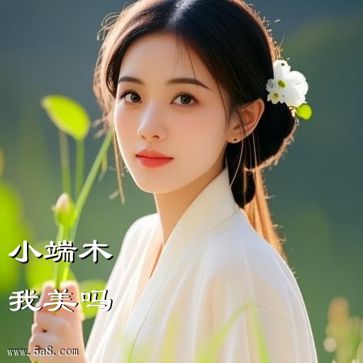 我美吗小端木搞笑图片