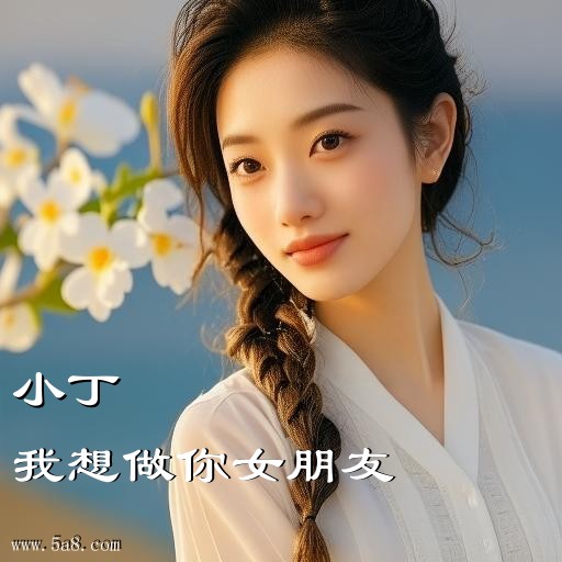 我想做你女朋友小丁搞笑图片