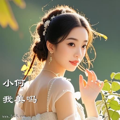 我美吗小何搞笑图片