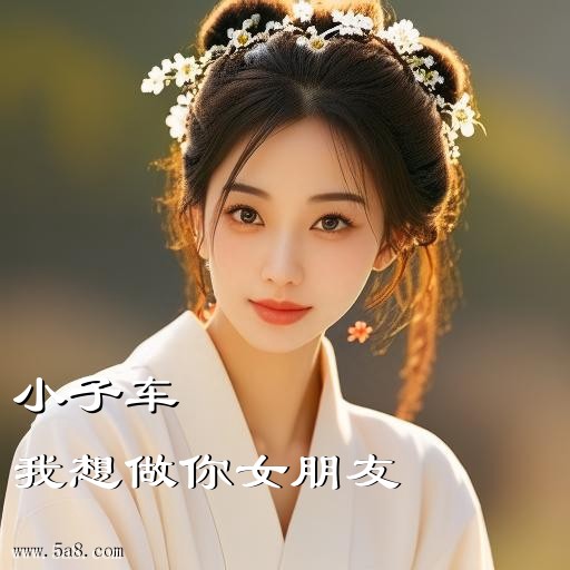 我想做你女朋友小子车搞笑图片
